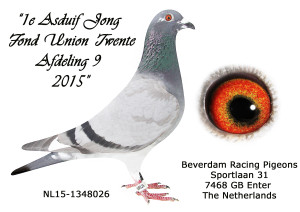 NL15-1348026 1 Fond Union Twente 2015