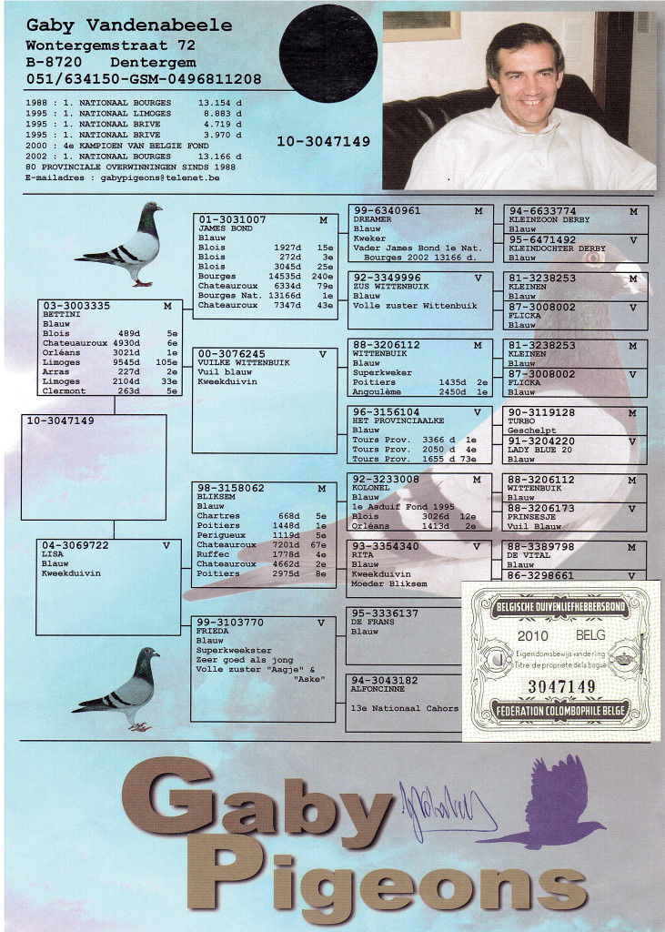 pigeon pedigree image